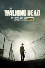 the walking dead tv poster